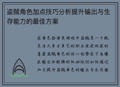 盗贼角色加点技巧分析提升输出与生存能力的最佳方案